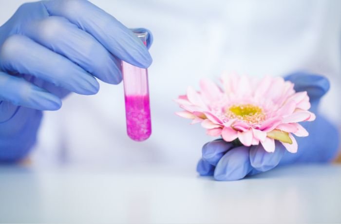 Mengapa Kemurnian Bahan Baku Jadi Penentu Konsistensi Formula?